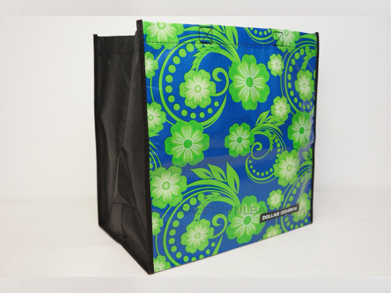 Dollar General Non woven laminated + non woven gusset